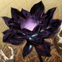 Black lotus