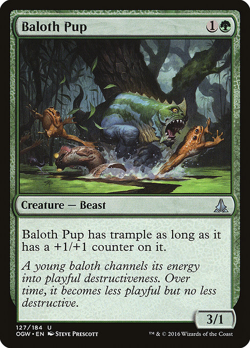 Ogw 127 baloth pup