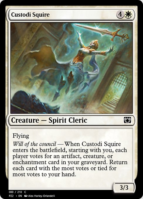 Pz2 65781 custodi squire