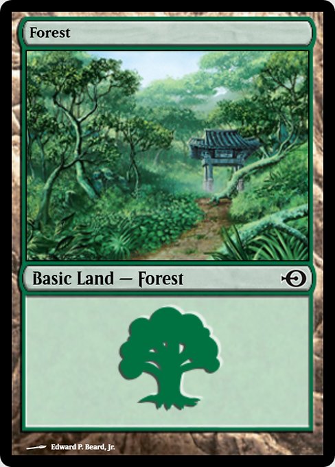 Prm 251 forest