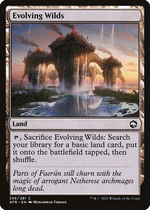 Afr 256 evolving wilds